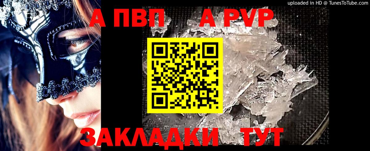 A PVP крисы CK Гай