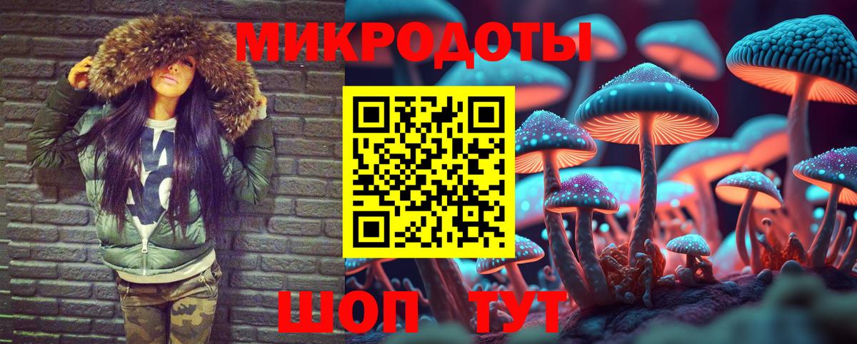 Галлюциногенные грибы Magic Shrooms Гай